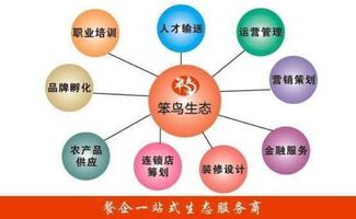笨鸟生态 深圳餐饮咨询与顾问领域的创新飞翔